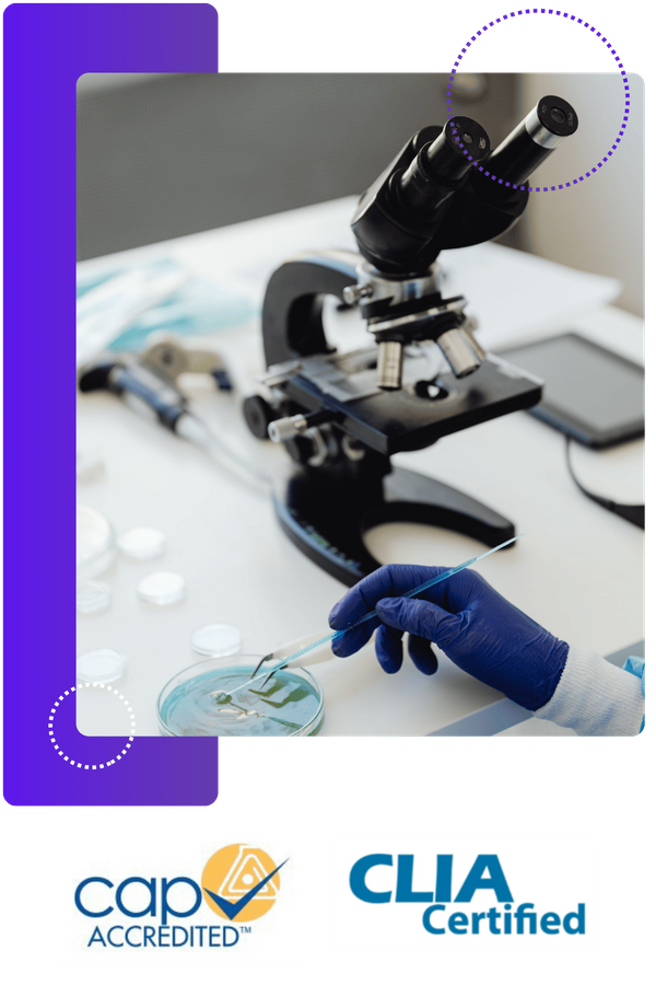 Precision Laboratory microscope and petri dish